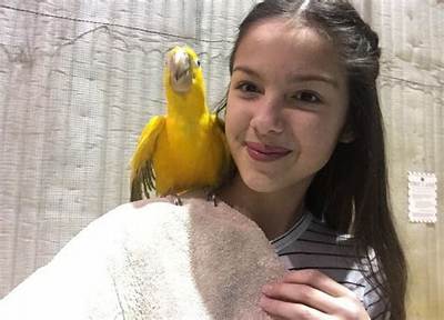 Olivia Rodrigo Pets - Celebrity Pets