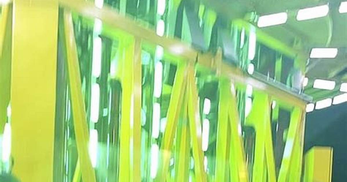 Orlando Drop Tower Death: Netizens Are Traumatised