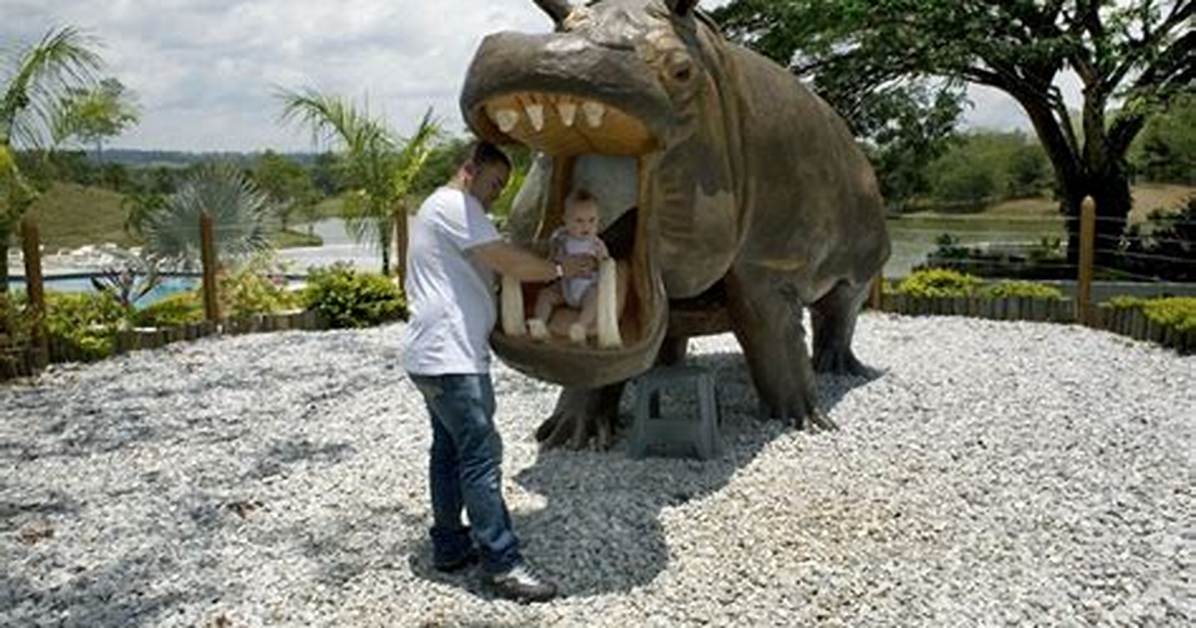 Pablo Escobar’s $7 Million Pet Hippo Cartel Still Run a Colombian Town