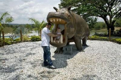 Pablo Escobar’s $7 Million Pet Hippo Cartel Still Run a Colombian Town