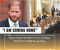 Palace Sources Claim Prince Harry Is ‘Behaving Like a Bolshie Teenager’