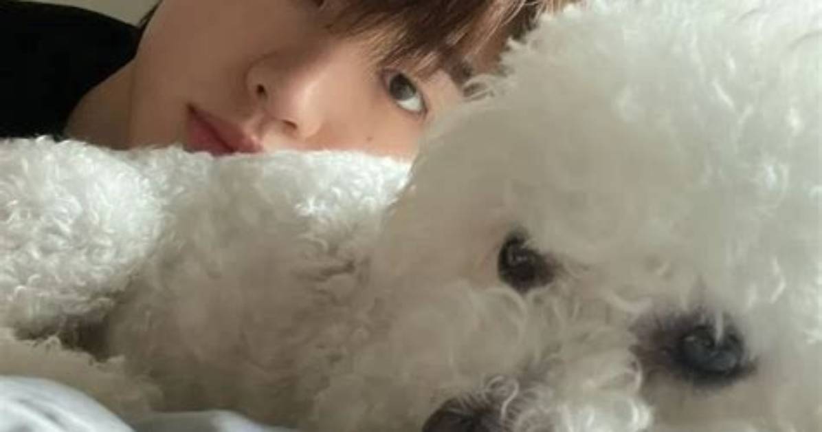 Park Sung-Hoon Pets - Celebrity Pets