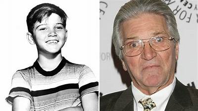 Paul Petersen - Age, Family, Bio