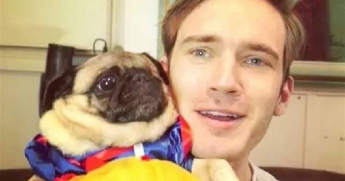 Pewdiepie Pets - Celebrity Pets