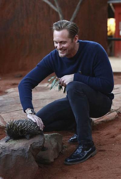 Please Enjoy These Photos of Alexander Skarsgard Looking Scruffy & Sweaty