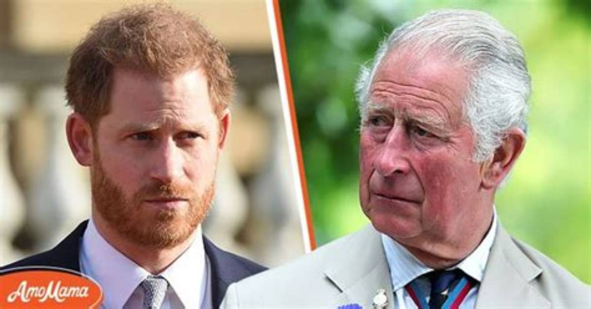 Prince Harry Was Called ‘Oversensitive’ When He Complained About Racism?