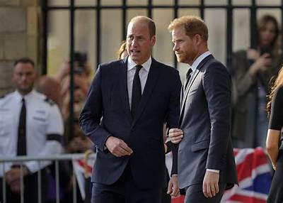 Prince Harry & William Will Both ‘Appear’ at the Diana Legacy Awards This Week