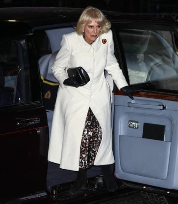 Queen Camilla’s Friends: That Old Boozehound Never Schemed to Be Queen