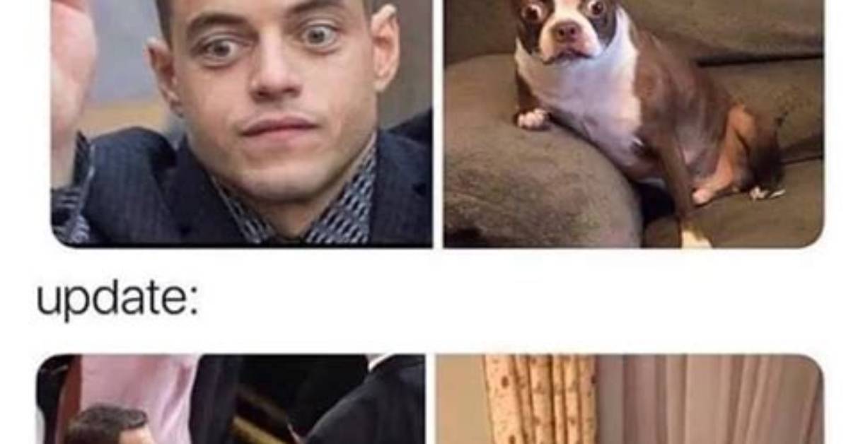 Rami Malek Pets - Celebrity Pets