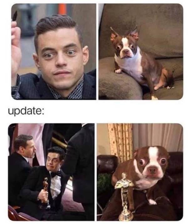 Rami Malek Pets - Celebrity Pets