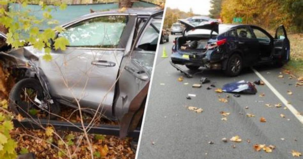 Reckless Driver Crashes into Two Cars, Is Also a Dog