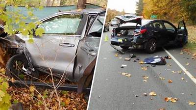 Reckless Driver Crashes into Two Cars, Is Also a Dog