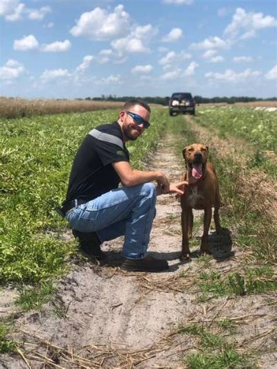 Ross Chastain Pets - Celebrity Pets