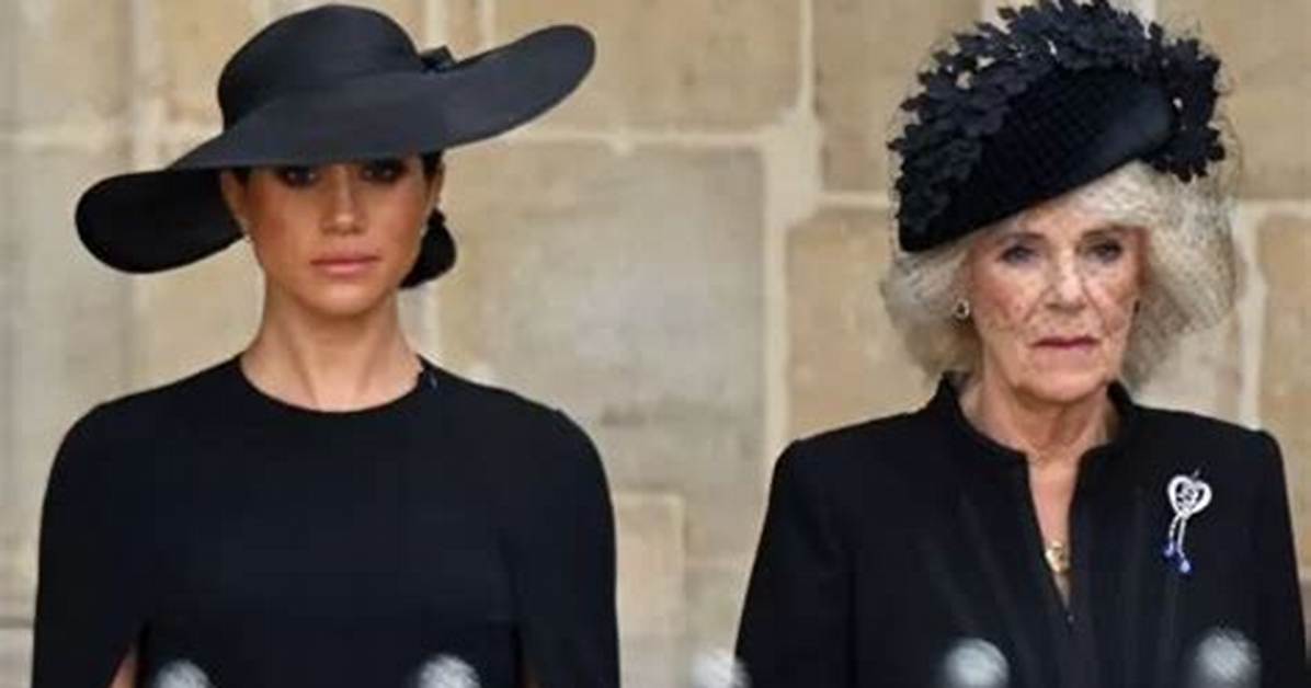‘Royals at War’ Book Claims Duchess Meghan’s Work Ethic Freaked out the Palace?