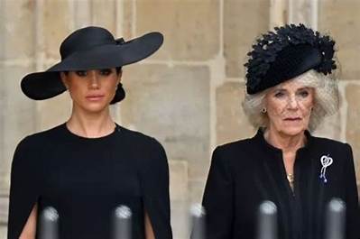 ‘Royals at War’ Book Claims Duchess Meghan’s Work Ethic Freaked out the Palace?