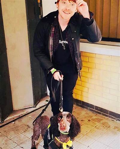 Rupert Grint Pets - Celebrity Pets