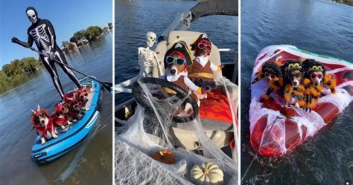 Sailing the Spooky Seas with Myles and Willow