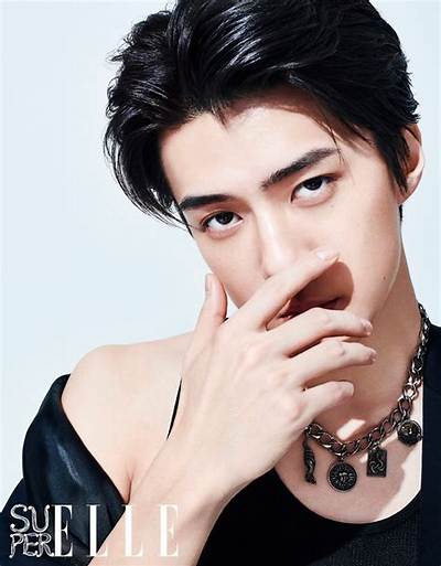 Sehun Bio (Wiki)