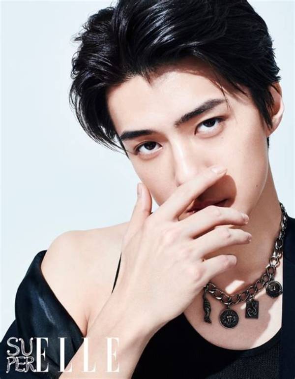 Sehun Bio (Wiki)