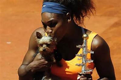 Serena Williams Pets - Celebrity Pets