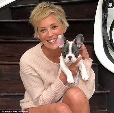 Sharon Stone’s Older French Bulldog Is Not Impressed with Her New Puppy