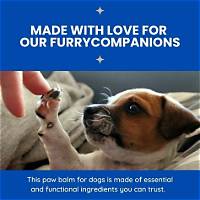 Should You Moisturize a Dog Paws?
