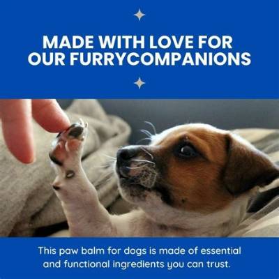 Should You Moisturize a Dog Paws?
