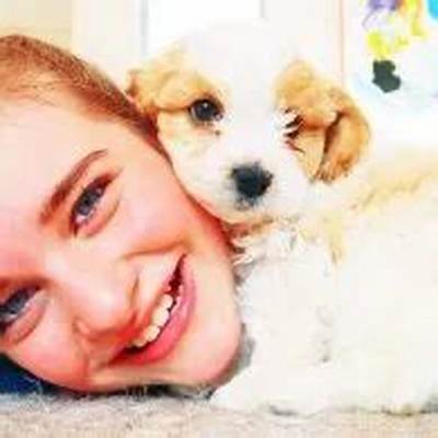 Sockie Norris Pets - Celebrity Pets