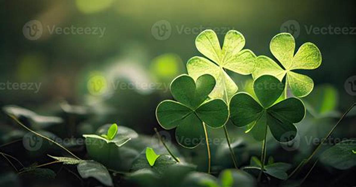 St. Patrick’s Day Wild Clovers in a Vase
