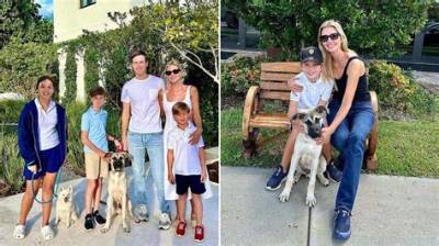 Staving Dog Abandoned Along a Highway Adopted by Ivanka Trump