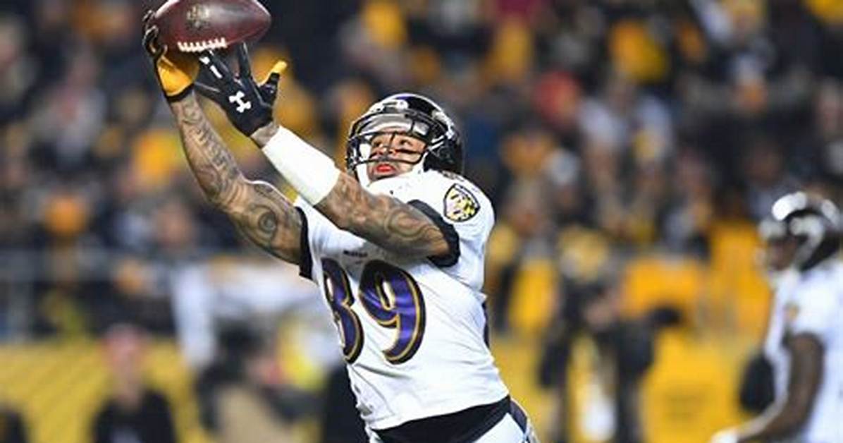 Steve Smith Net Worth - Wiki, Age, Weight and Height, Relationships, Family, and More