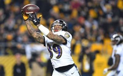 Steve Smith Net Worth - Wiki, Age, Weight and Height, Relationships, Family, and More