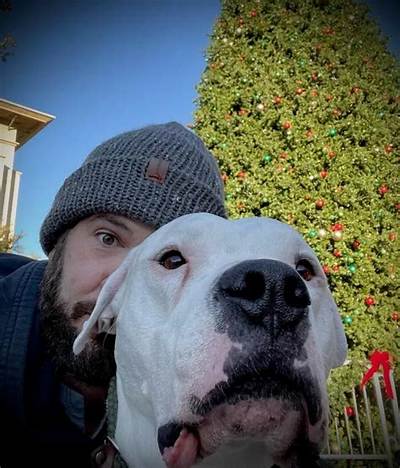 Steven Crowder Pets - Celebrity Pets