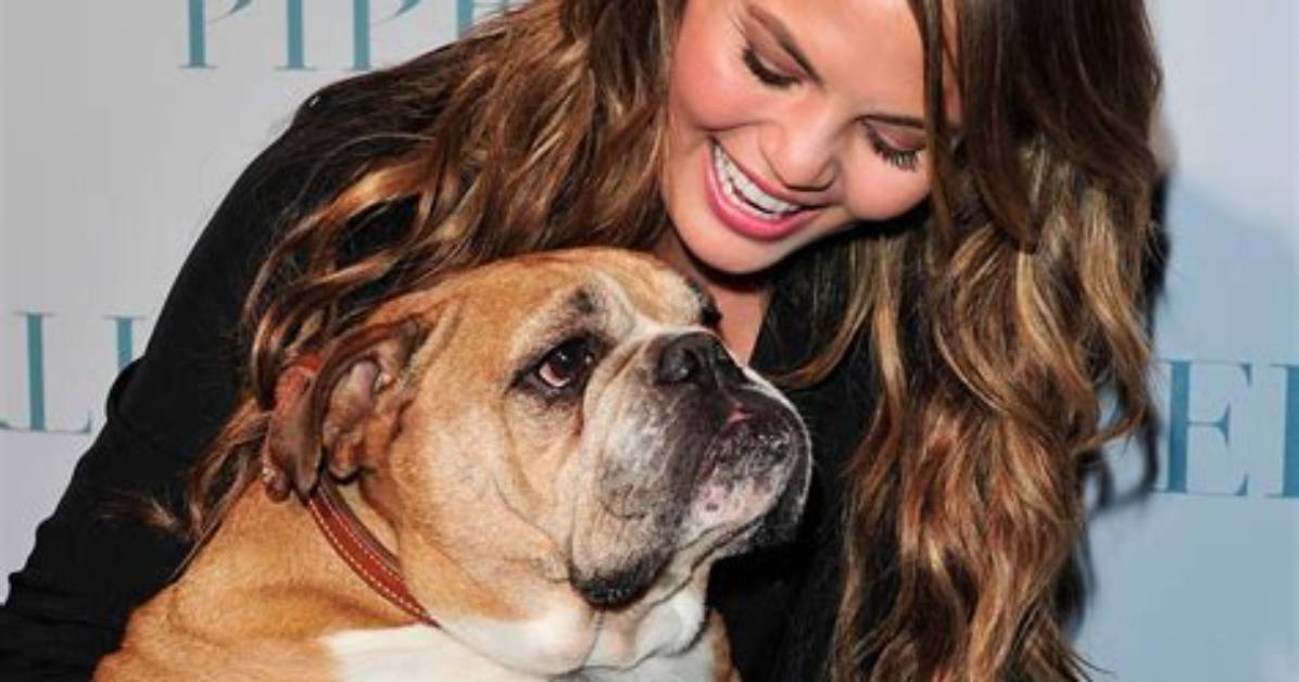 Tammy Duckworth Pets - Celebrity Pets