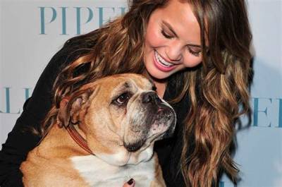 Tammy Duckworth Pets - Celebrity Pets