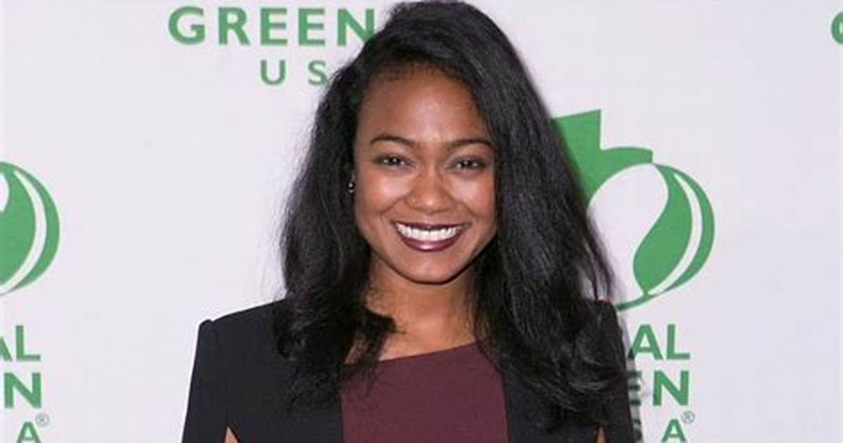 Tatyana Ali Bio (Wiki)