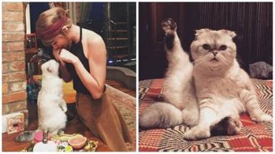 Taylor Swift’s Cat Has Earning Power up to $97 Million