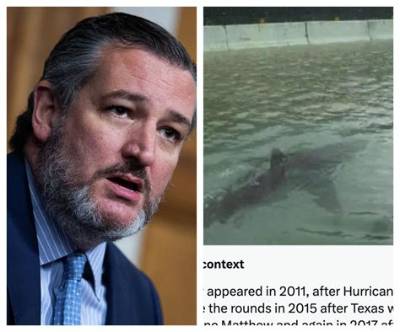 Ted Cruz’s Death Hoax Goes Viral After ‘Rip Ted’ Trends Due to Ted Silary’s Demise