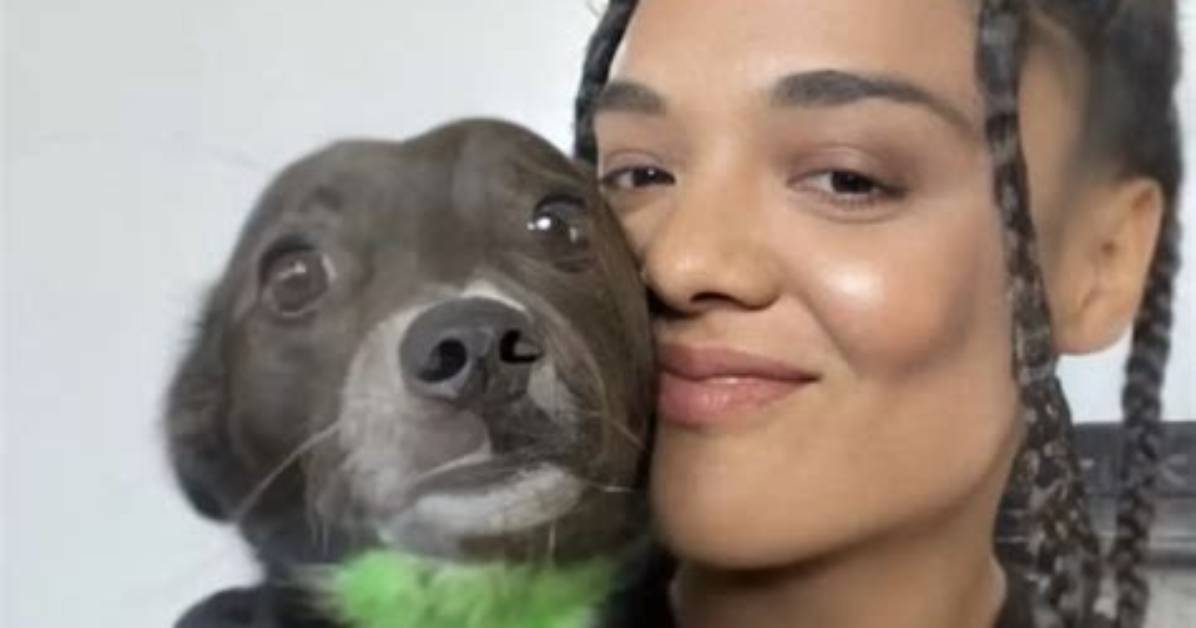 Tessa Thompson Pets - Celebrity Pets