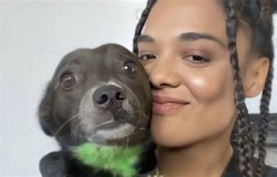 Tessa Thompson Pets - Celebrity Pets