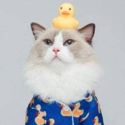 Thatlittlepuff - Age, Family, Bio