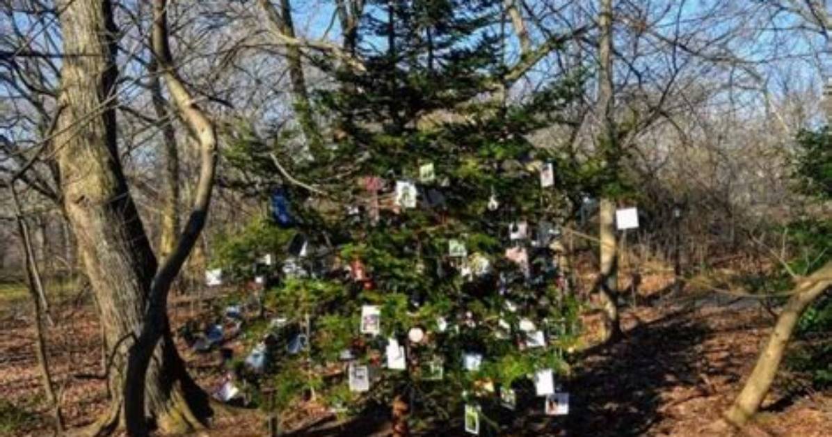 The Furever Tree: a Pet Memorial Christmas Tree Hidden in New York’s Central Park