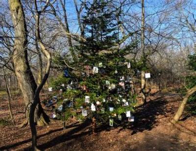 The Furever Tree: a Pet Memorial Christmas Tree Hidden in New York’s Central Park