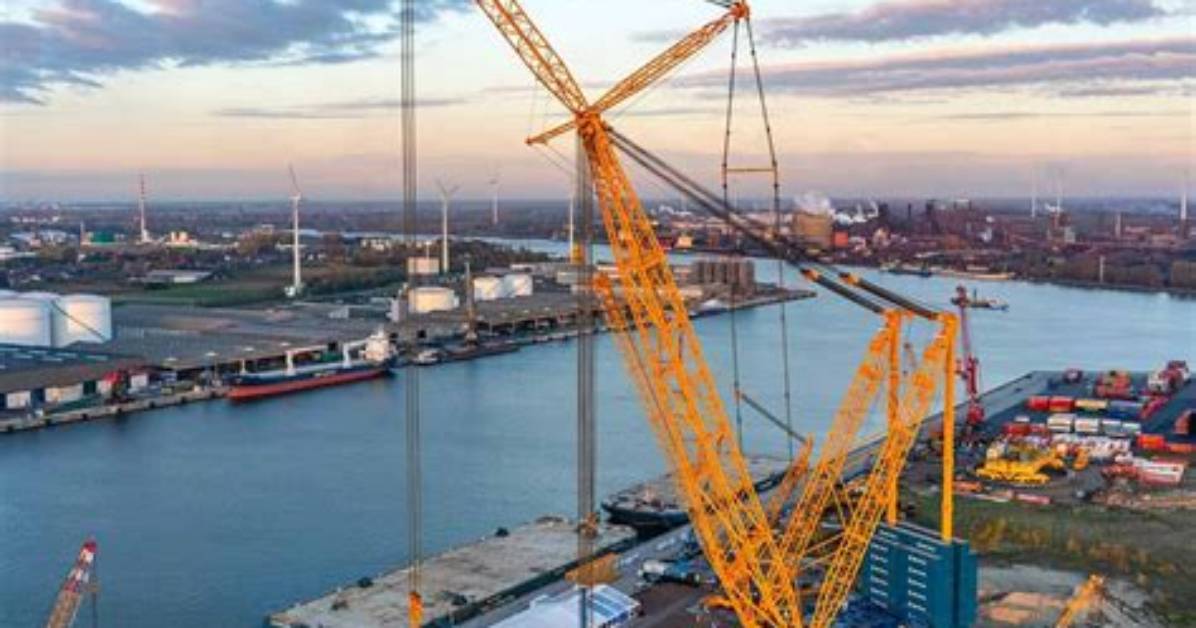 The Life of Carl the Crane and His Dino-Bird Family