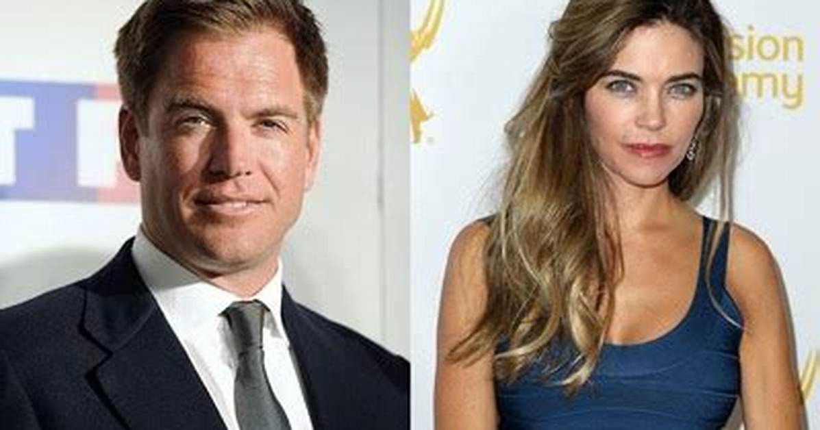 The Private Life, Net Worth, and Resemblance to Michael Weatherly Revealed!