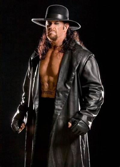 The Undertaker Net Worth: Income & Career
