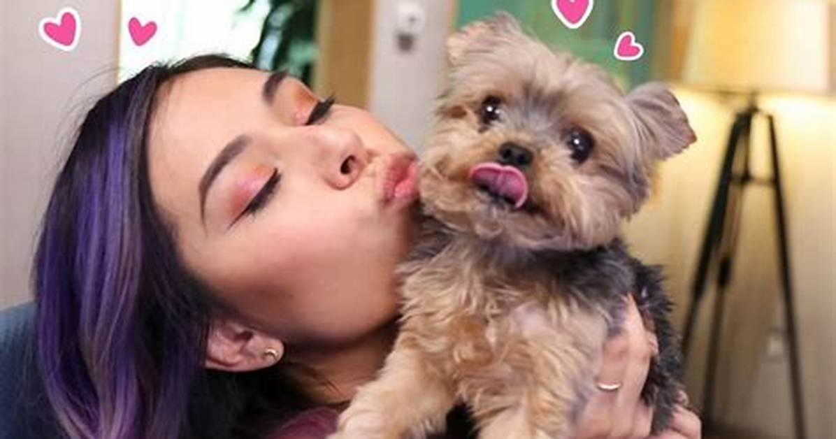 Tiffany Garcia (Ihascupquake) Pets - Celebrity Pets