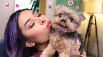 Tiffany Garcia (Ihascupquake) Pets - Celebrity Pets
