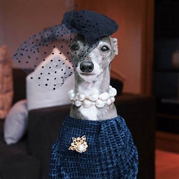 Tika the Iggy – You Can Have Anything You Want in Life If You Dress for It
