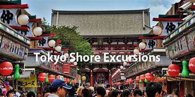 Tokyo Shore Excursions & Cruise Excursions